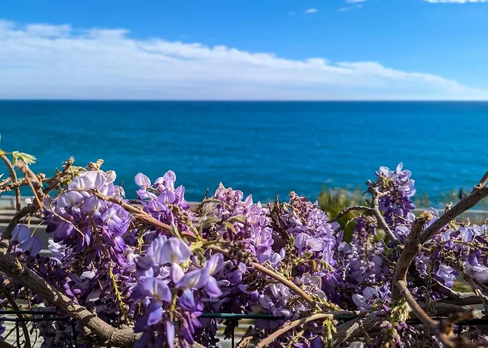 Top Hotel a Varazze Tre Stelle