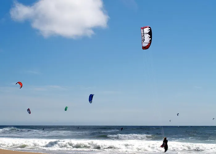 Mejores hoteles pet-friendly en La Manga del Mar Menor