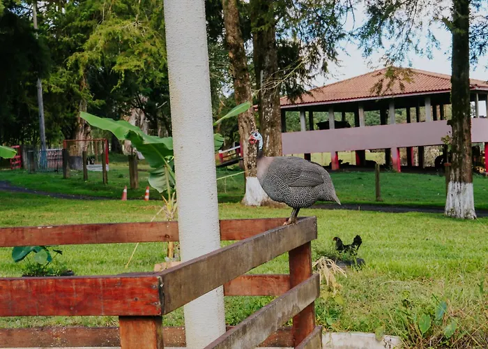 Melhor Hotel Fazenda em Carambei para Férias Inesquecíveis