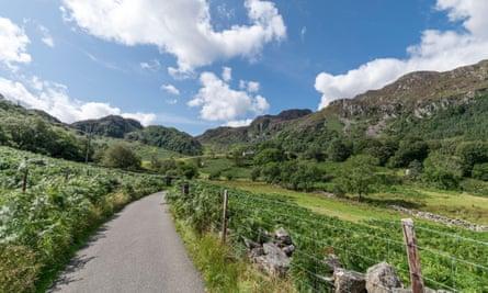 An area near Llyn Crafnant.