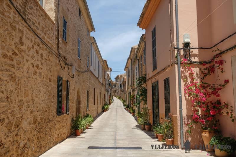 alcudia que hacer en mallorca