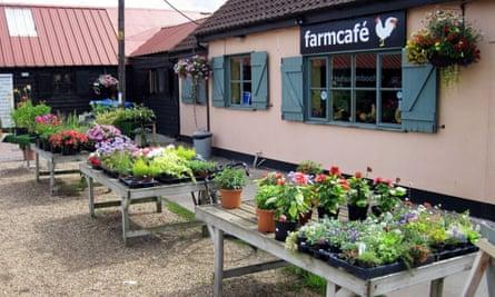 Farm Cafe, Marlesford