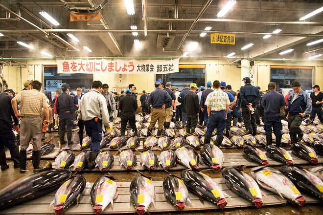 Toyosu Market — Toyosu