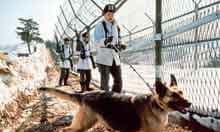 Korea demilitarised zone