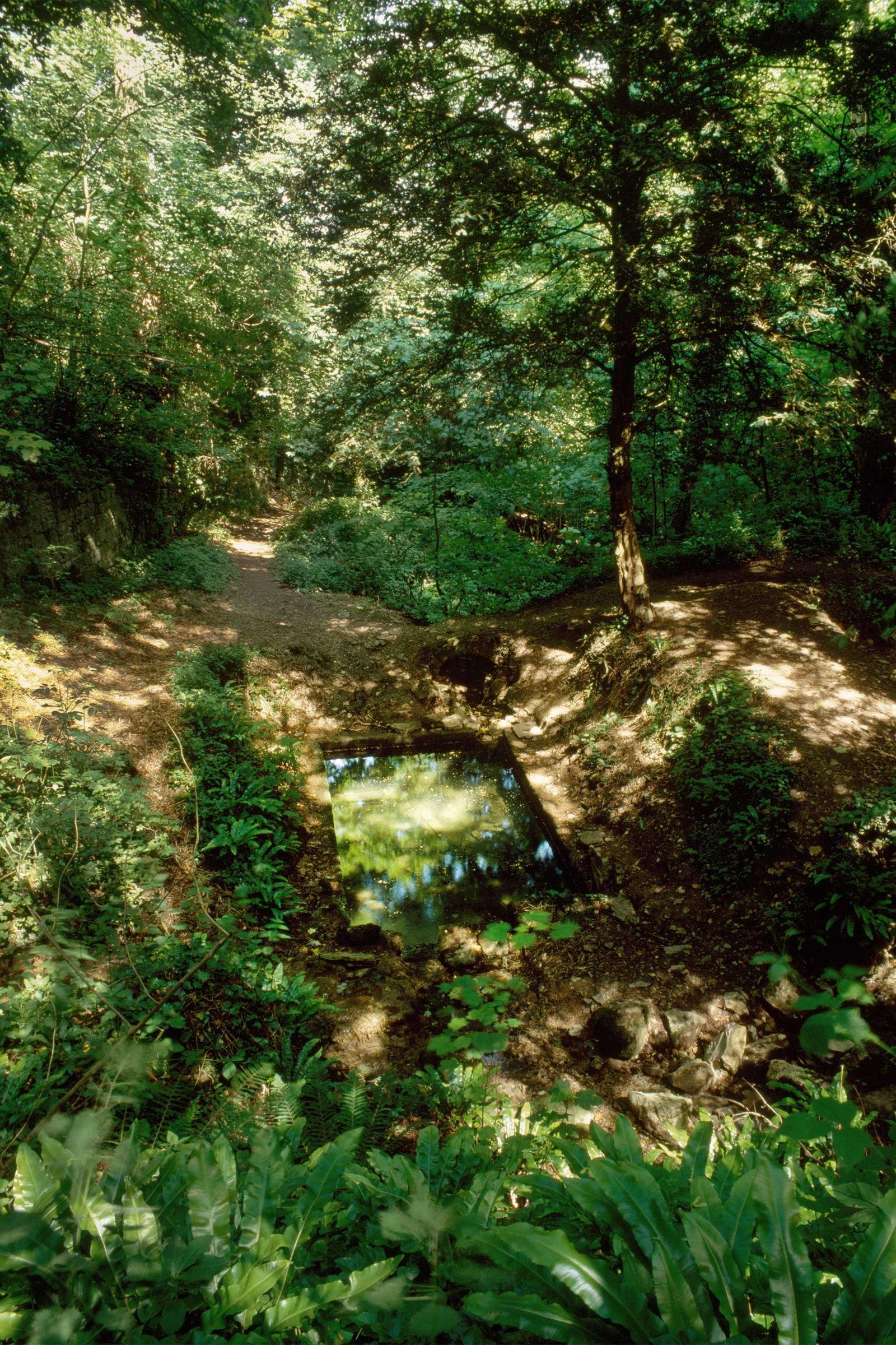 St Dyfnog's Holy Well Denbigh
