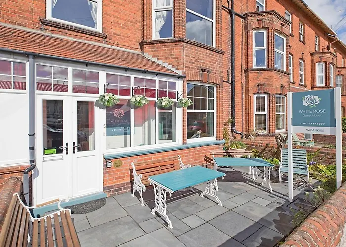 Best Dog Friendly Hotels in Filey for Pet Lovers